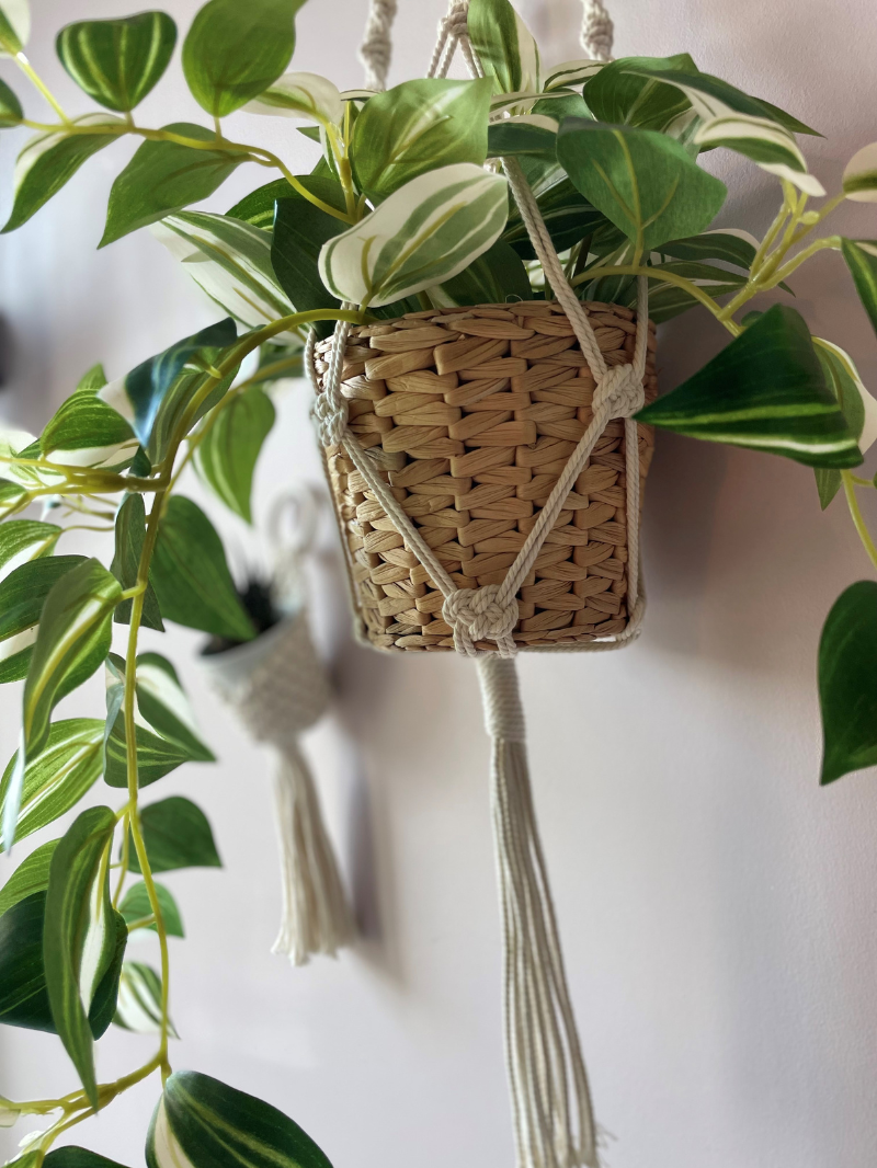 macrame-suspension-plante